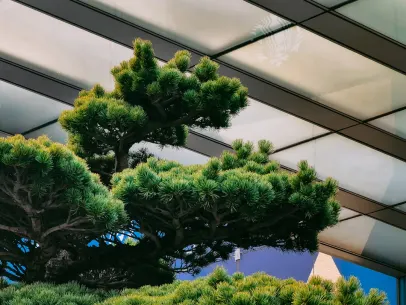 ArcaneBet Kasino Mobiilisovellus